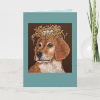 Hercule la carte beagle