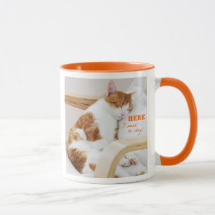 Here I tonne want stay ! - Chats photo tasse à