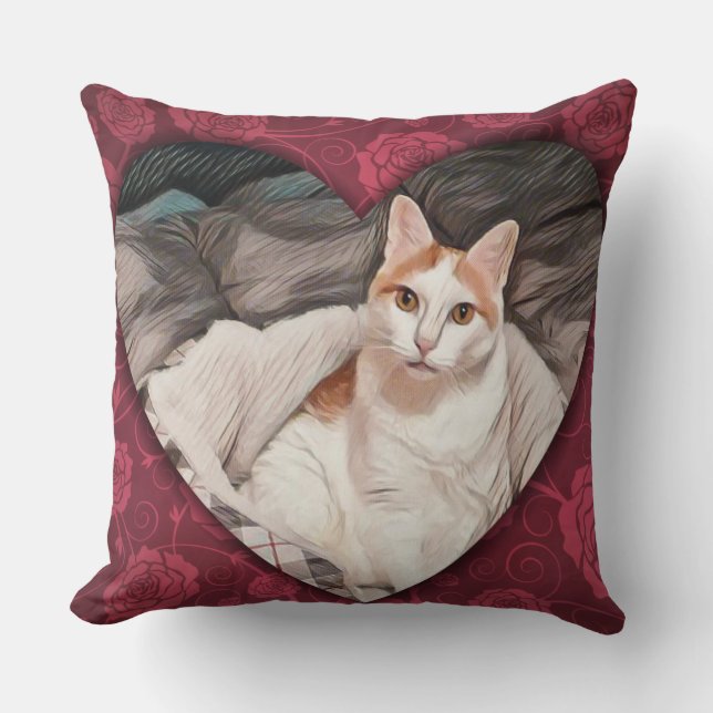 Herecules le coussin de chat (Recto)