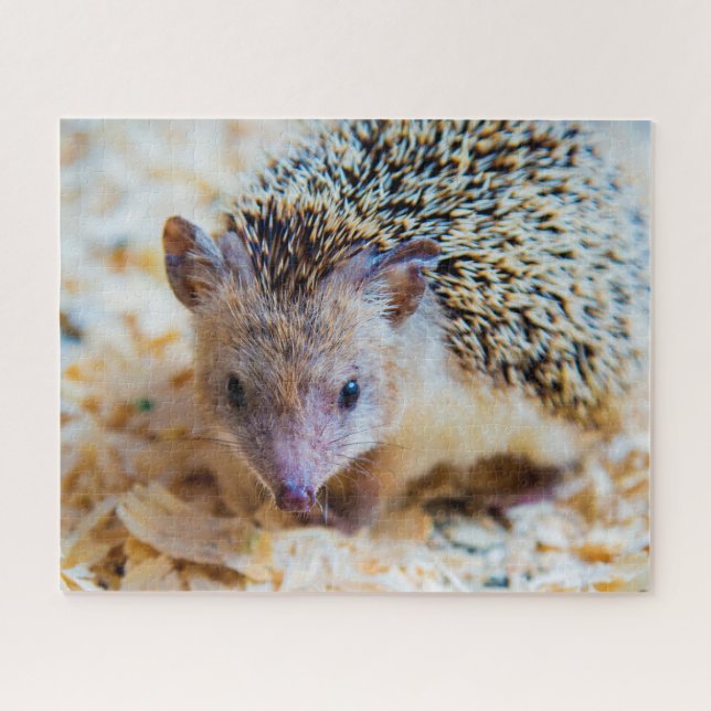 Hérisson Mignon, Puzzle (Horizontal)