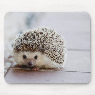 Hérisson Mignon, Tapis de Souris