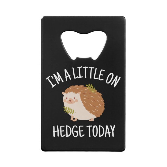 Hérisson peu sur la couverture aujourd'hui (Devant)