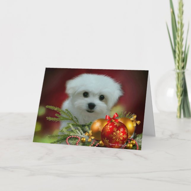 Hermès la carte de voeux de Noël maltaise (Devant)