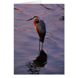 Herodias d'Ardea