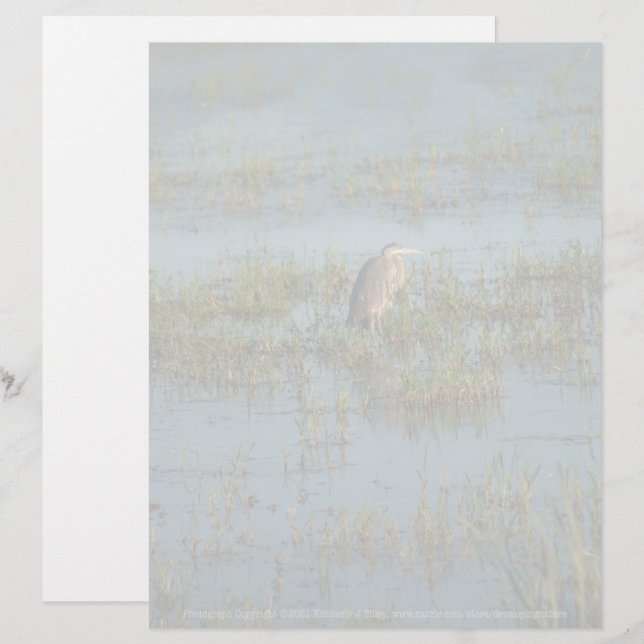 Heron 6937 (Devant / Derrière)