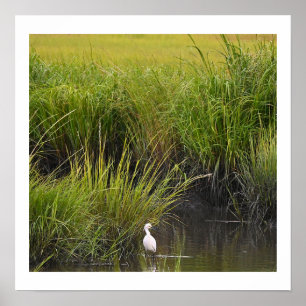 Heron dans le Marsh Poster
