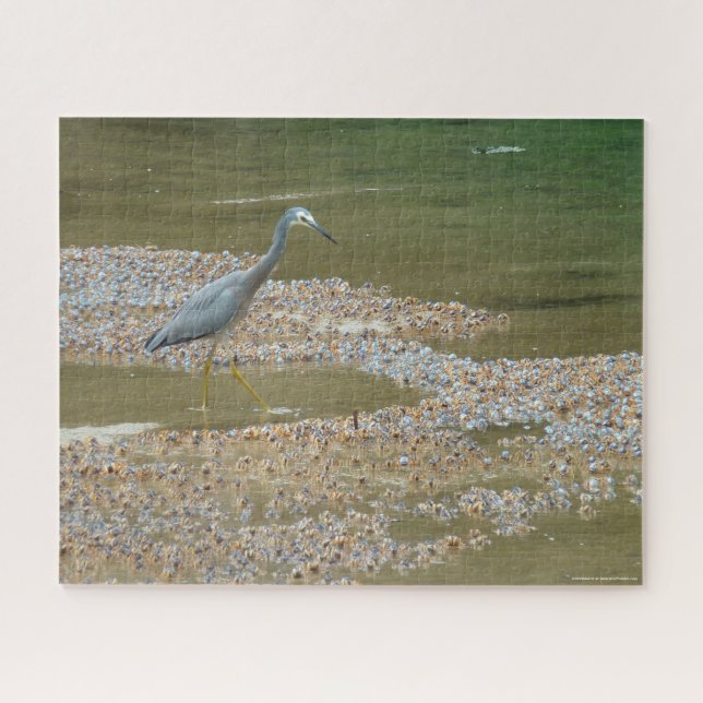 Heron et bébé crabes délicat puzzle (Horizontal)