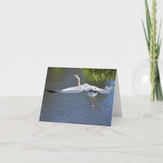 Heron Over The Water #4 - Carte blanche