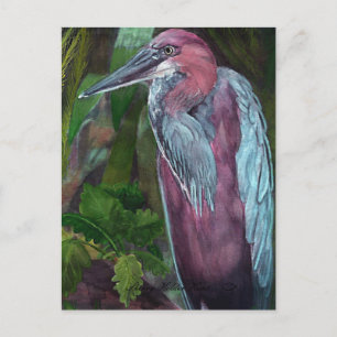 Heron Standing Alone 2 Carte Postale