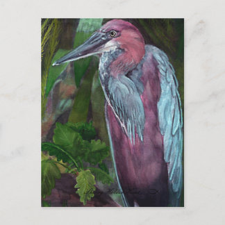 Heron Standing Alone 2 Carte Postale