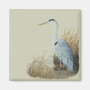 Héron sur Marsh Edge Magnet