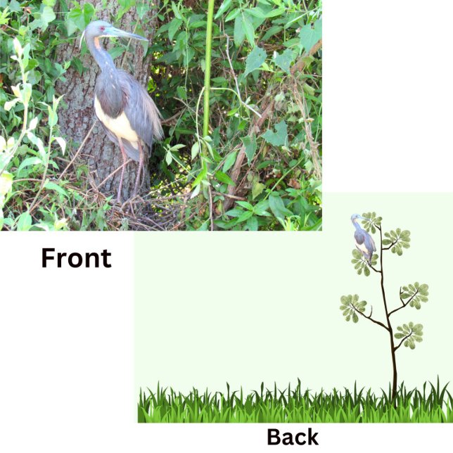 Heron Tri-Color Construire un nid (Créateur téléchargé)