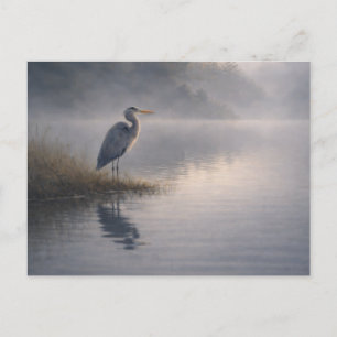 Héron Vigilant Grand Héron Bleu Carte Postale