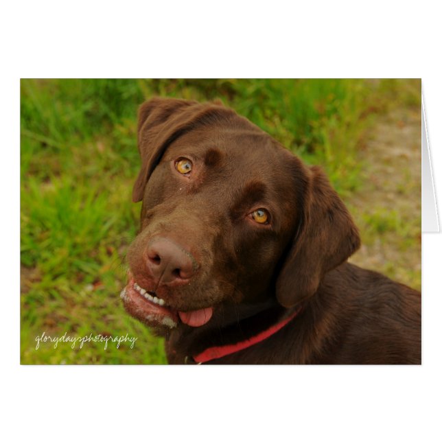 Hershey (Devant horizontal)