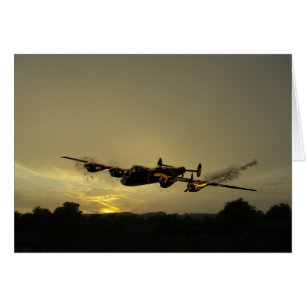 Hespérie de haies Lancaster.