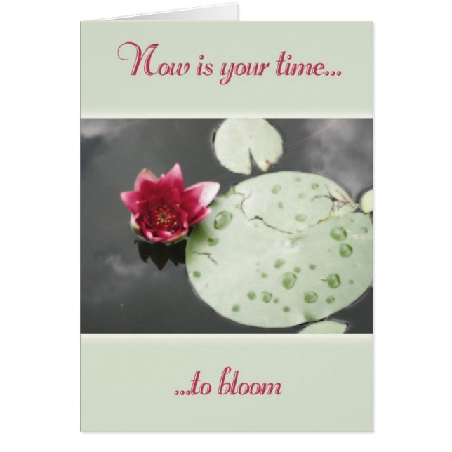 Heure de fleurir (Devant)