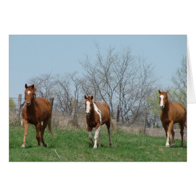 Heure de nourrir, Venez le chercher, Trois chevaux (Devant horizontal)