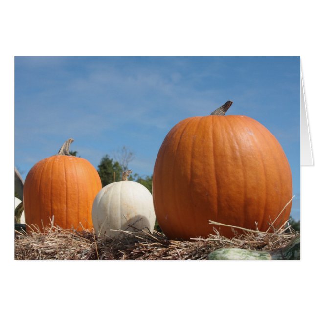 HEURE DE RÉCOLTE ! ! ! ! (Devant horizontal)