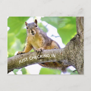 Heure d'enregistrement Carte postale