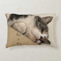 Heure du sommeil Coussin de chats