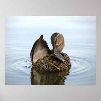 Heure d'un bain - POSTER