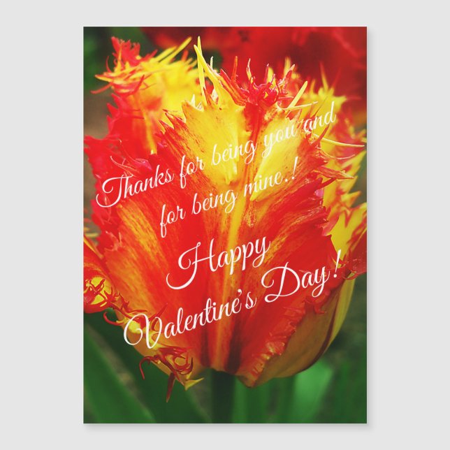 Heureuse Sainte-Valentin de tulipe rouge jaune (Devant)
