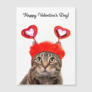 Heureuse Sainte-Valentin Pour N'Importe Qui Tabby