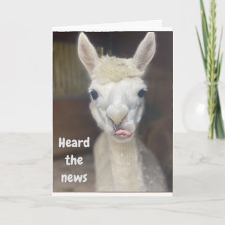 "HEUREUX 50e anniversaire" de la carte LARGE LAMA