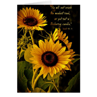 Hewillnotcrushtheaffaibliestreed Zazzle