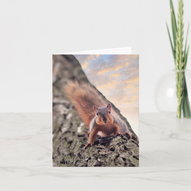 Hey, la carte de note What's Up (Devant)