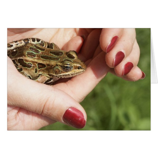 HFTH-011205-MFM-07 (Devant horizontal)