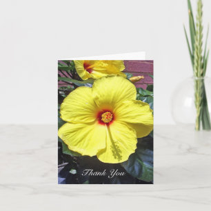 Hibiscus Carte de remerciements