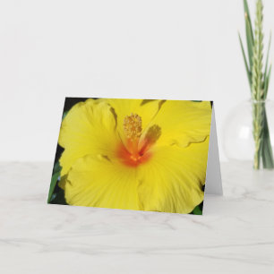 Hibiscus Carte pour notes