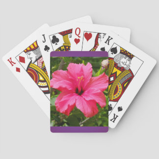 Hibiscus Cartes de Jeu