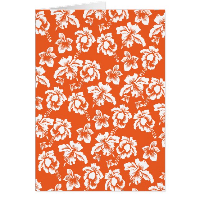 Hibiscus d'Hawaï orange (Devant)