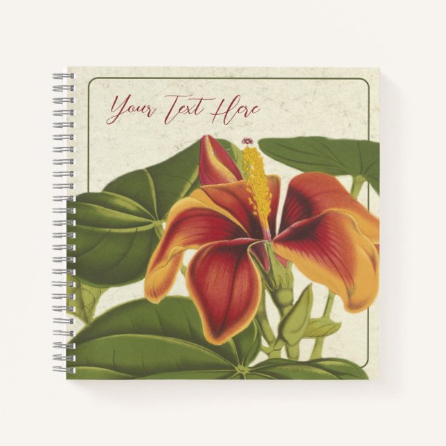 Hibiscus Elatus : Un Carnet de Muse Tropical (Devant)