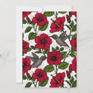 Hibiscus et colibris