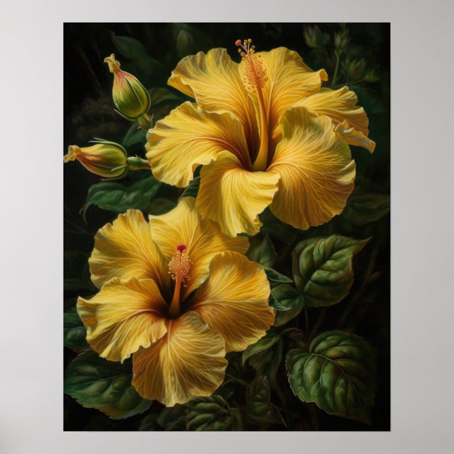 Hibiscus Jaune Fleurs Art Imprimer Poster (Devant)