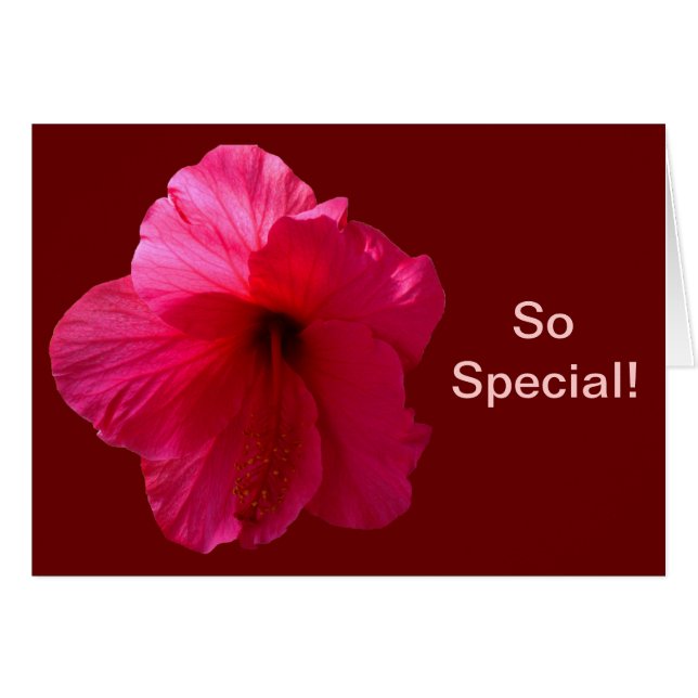 Hibiscus rose (Devant horizontal)