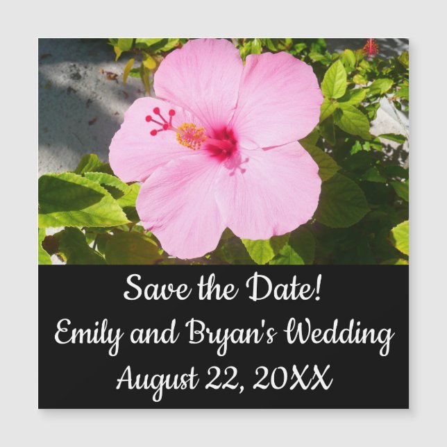 Hibiscus rose Fleur tropicale (Devant)