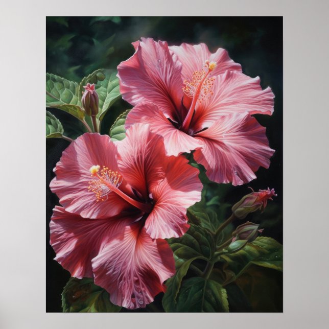 Hibiscus rose Fleurs Art Imprimer Poster (Devant)