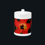 Hibiscus rouge<br><div class="desc">Hibiscus rouge Hibiscus est un plante à fleurs tropicales de la famille des mauviers, . Envoyez un message à sandycloss@gmail.com si vous souhaitez voir l'une de ces conceptions sur un produit non affiché. Je me ferai un plaisir de faire un produit sur mesure pour vous. Pour rechercher un produit particulier,...</div>