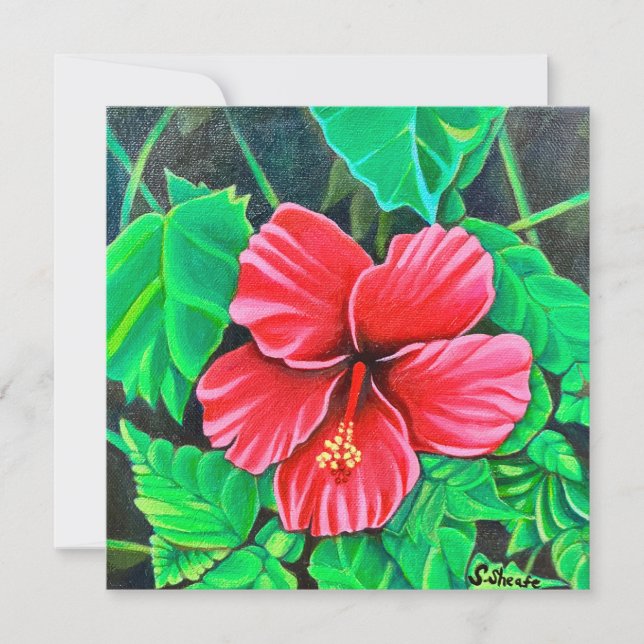 Hibiscus tropical (Devant)