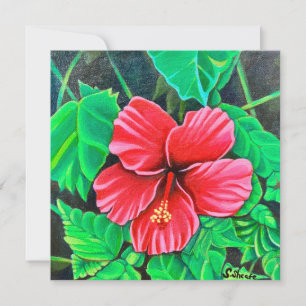 Hibiscus tropical
