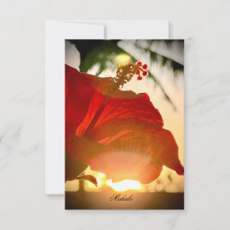 Hibiscus tropical Carte de remerciements