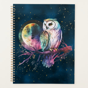 Hibou Arc-en-Ciel Mystique et Lune Céleste