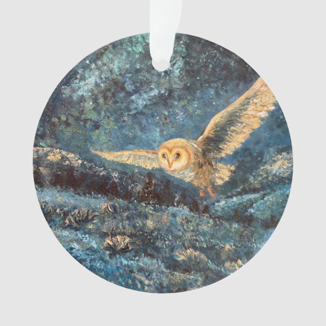 Hibou au clair de lune : Effraie dans une prairie  (devant)