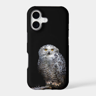 Hibou blanc est au téléphone pour vous!