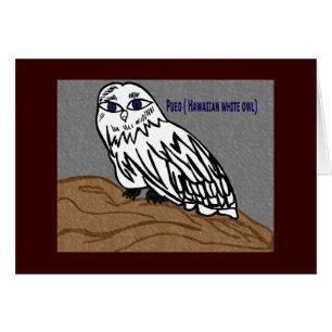 Hibou blanc hawaïen de Pueo