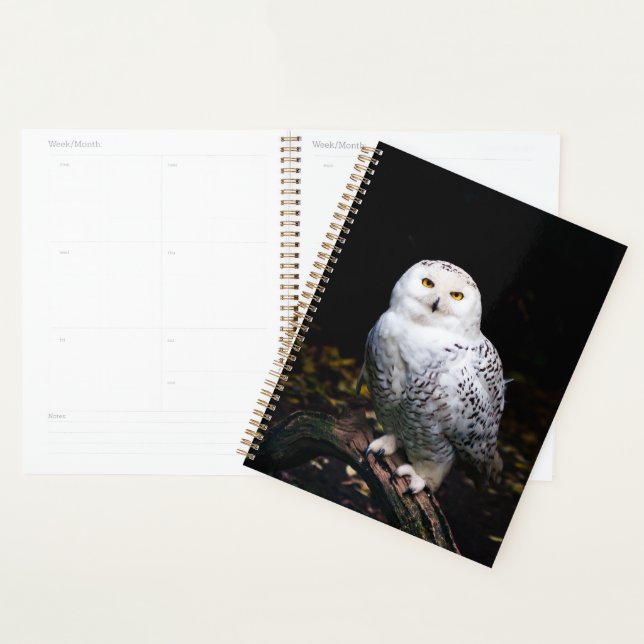Hibou blanc majestueux d'hiver (Devant avec enveloppe)